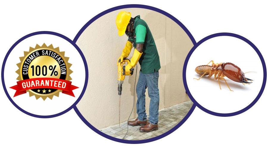 Post Construction Termite Control