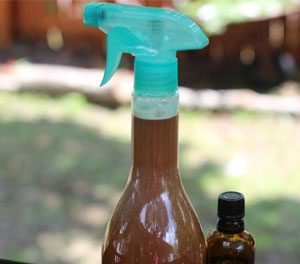 Natural Pest Repellent Spray