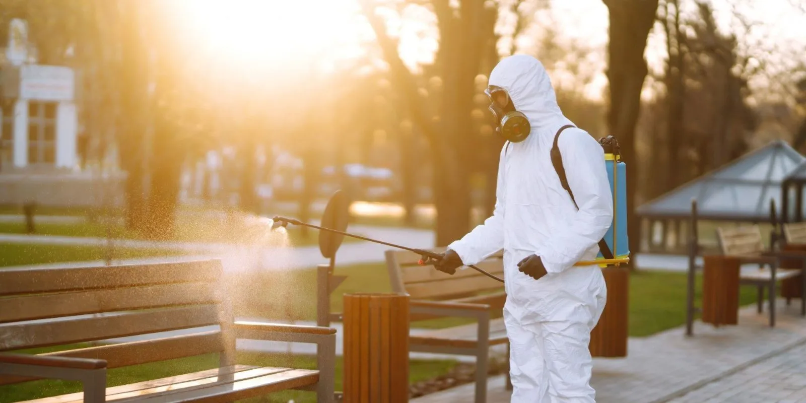 Termite Control Services Chennai