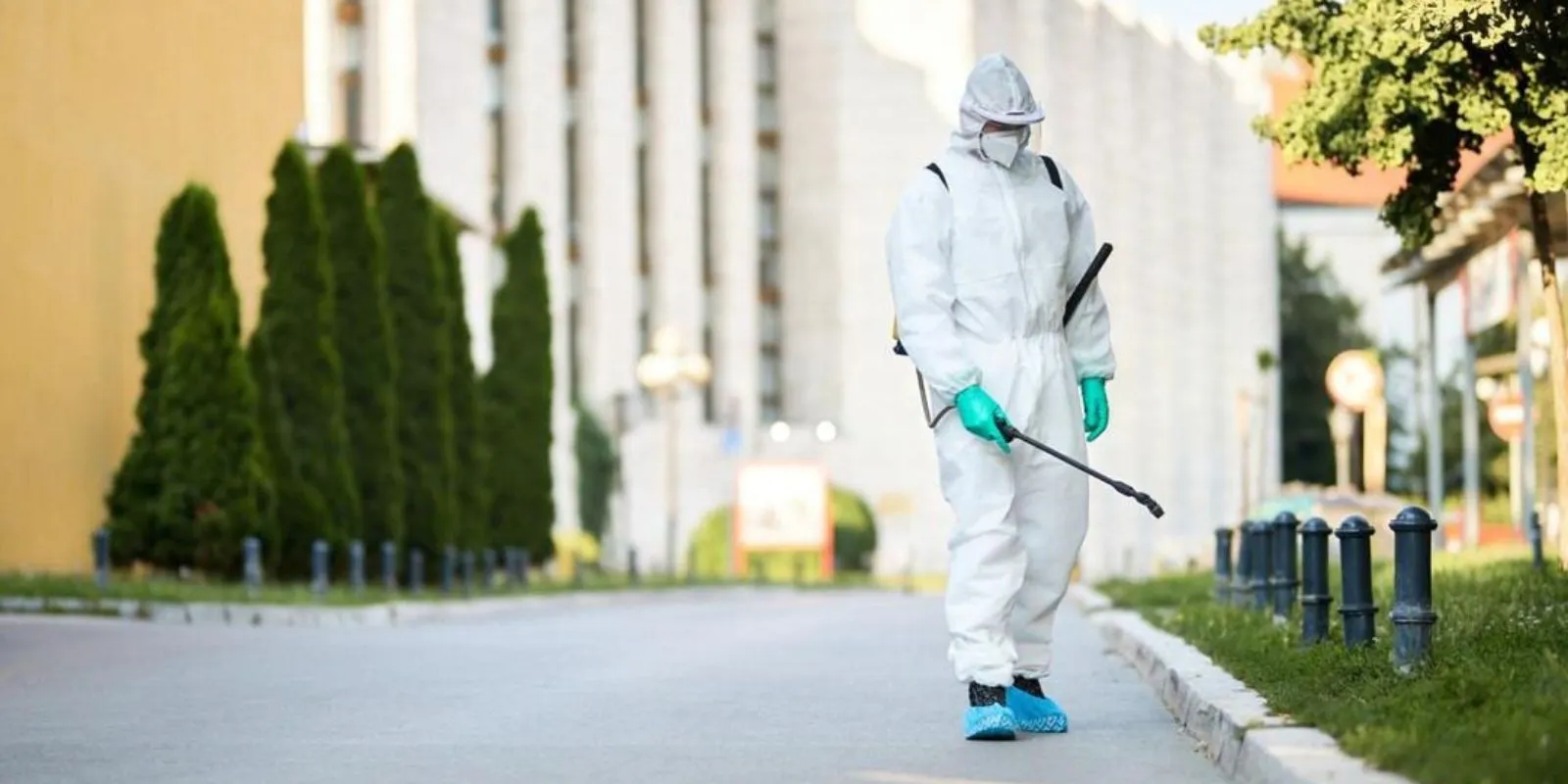 Pest Control Services Chennai