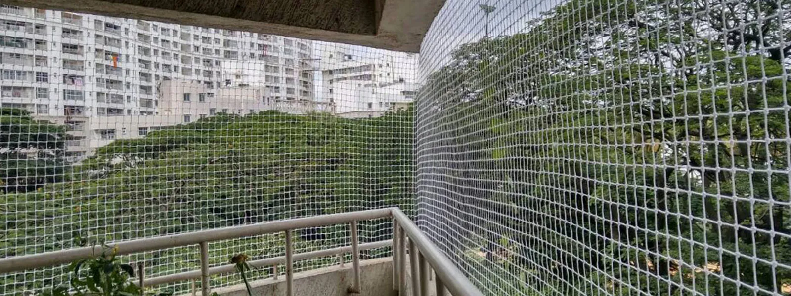 bird_nets_service_in_chennai