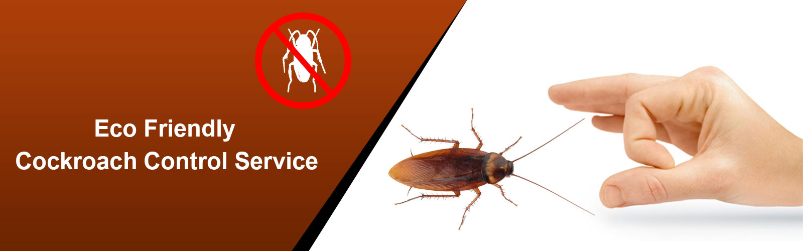 cockroach control in chennai