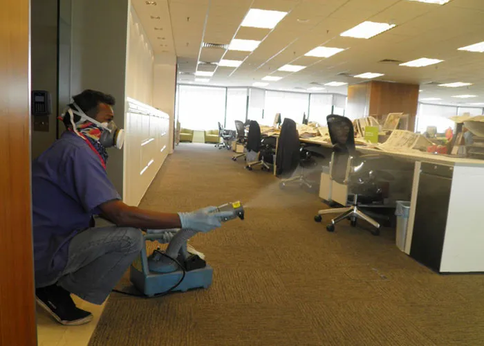 Pest control services in Chennai