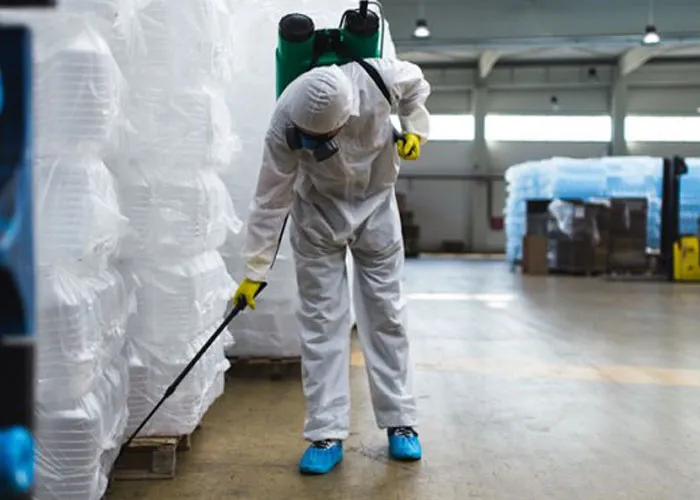 Pest control services in Chennai