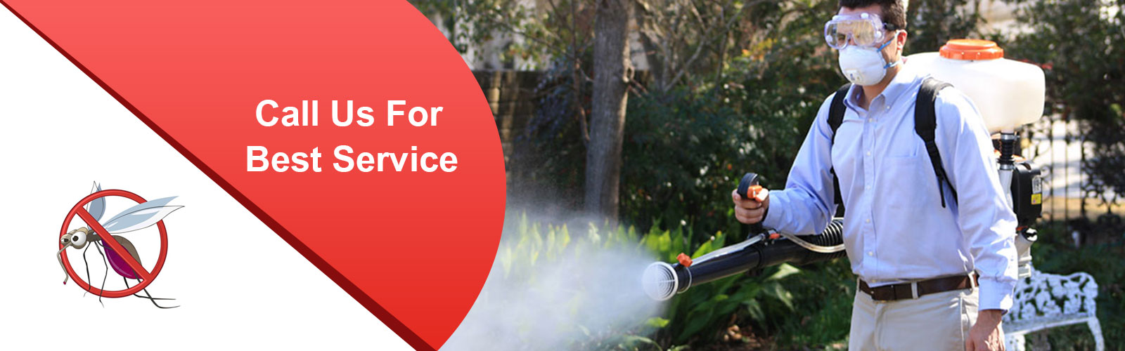 mosquito control control in chennai