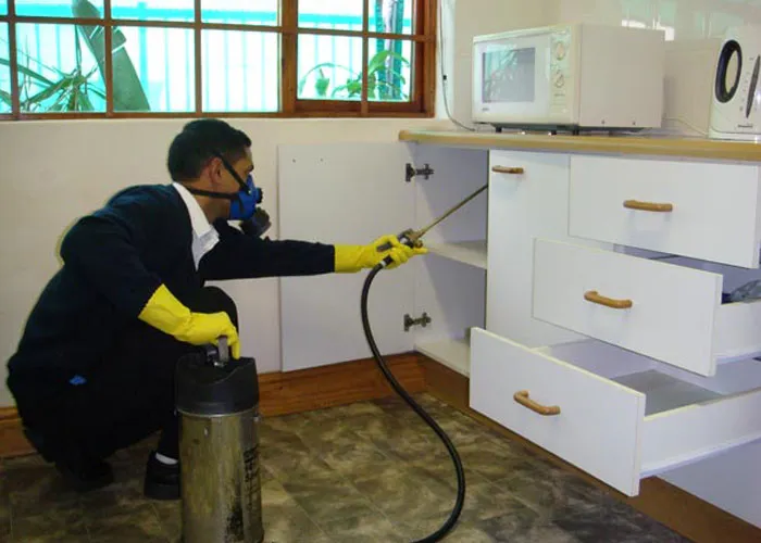 Pest control services in Chennai