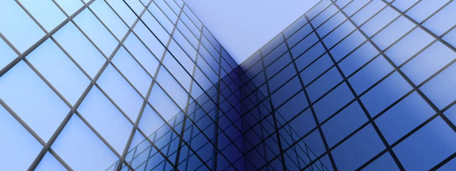 birdp_nets_service_in_chennai